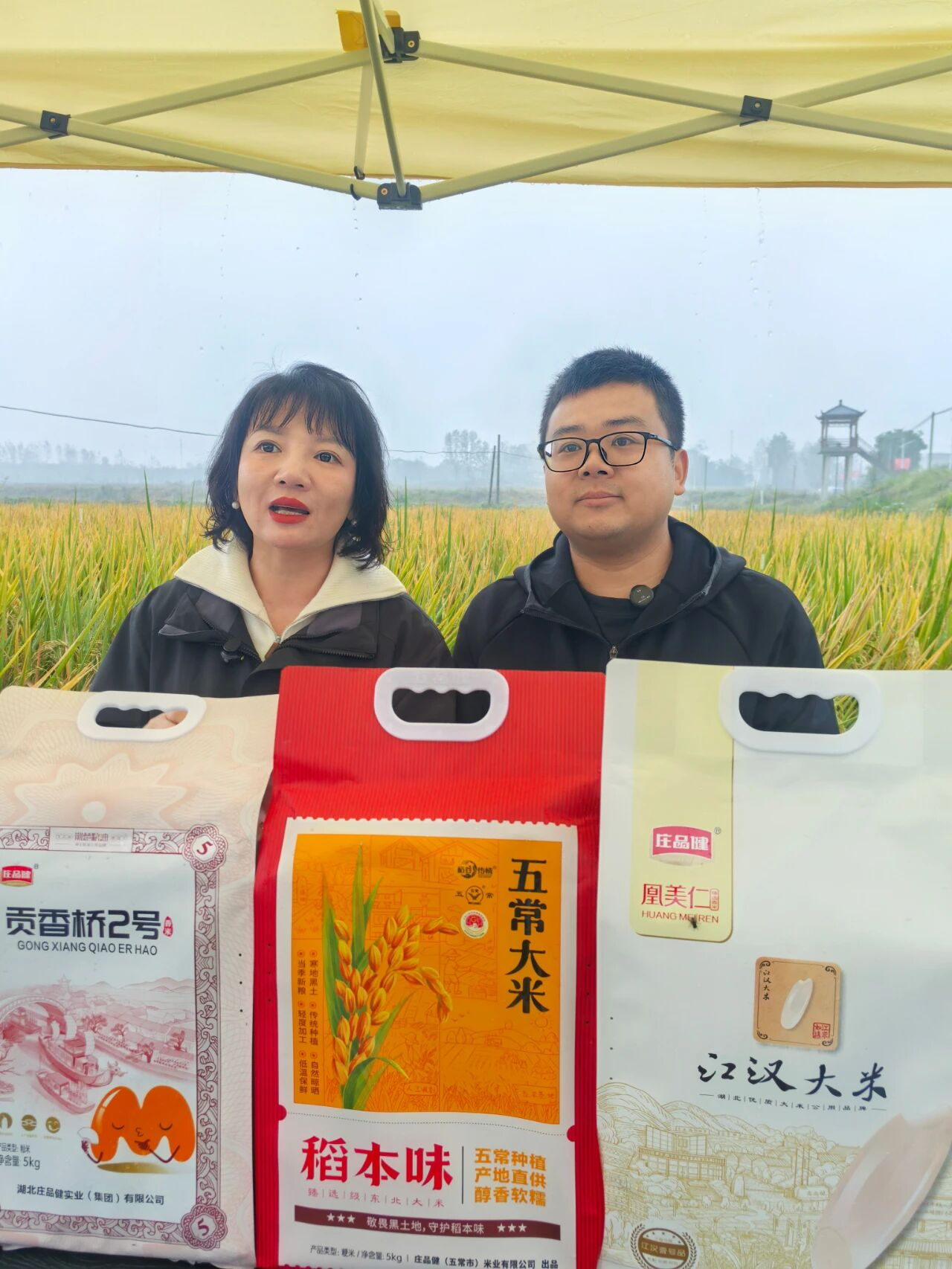 冰球突破-冰球电游豪华版_MG冰球游戏